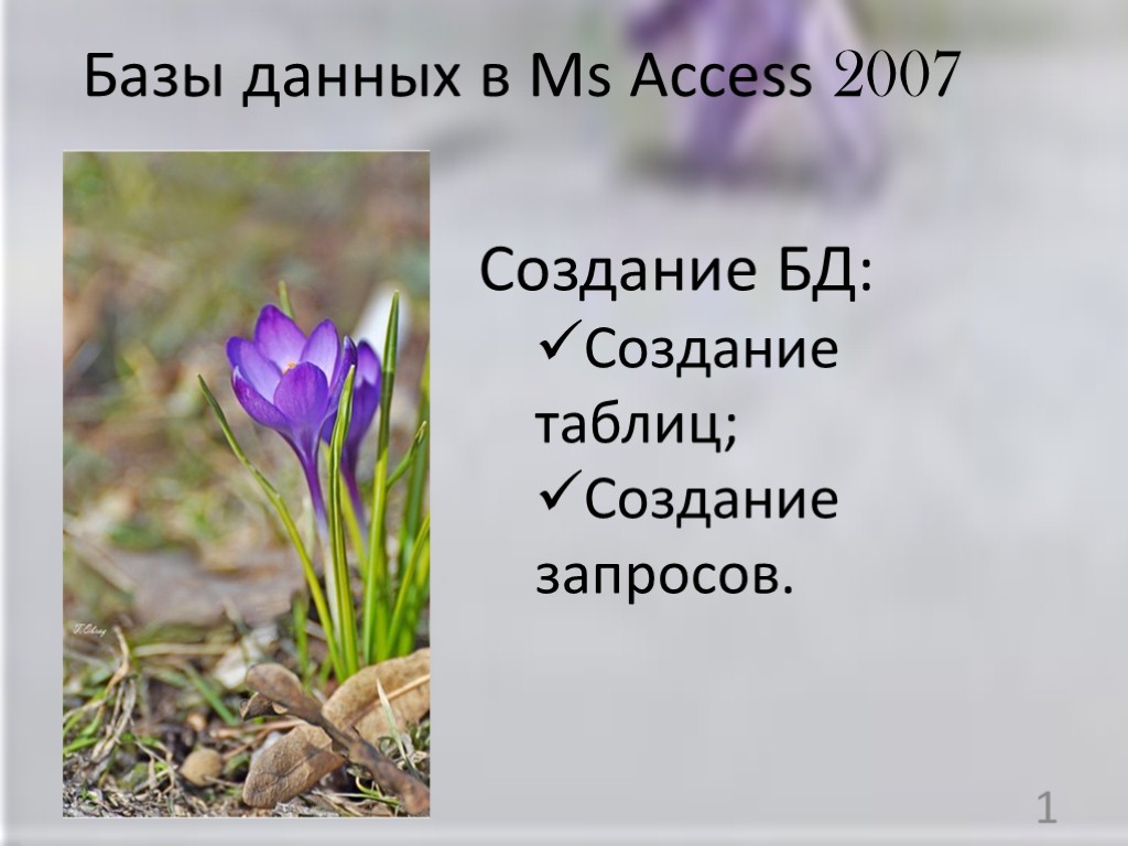 1 Базы данных в Ms Access 2007 Создание БД: Создание таблиц; Создание запросов.